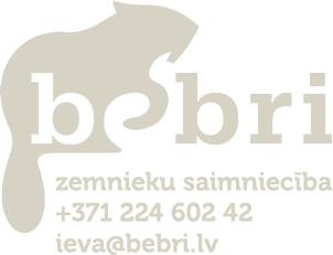 Bebri